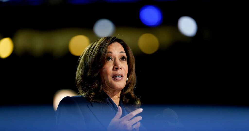 Kamala Harris campaign is proving good for 'legacy' ad business - The Irish Times